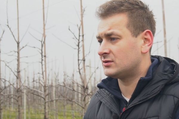 Komunikat sadowniczy nr 1 - z dnia 4.03.2020r.